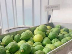 -introlemons(北京西单更新场店)
