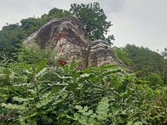 -桃花岛景观公园