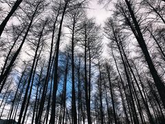 -硗碛藏寨·神木垒景区