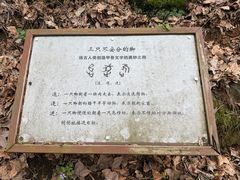 -四明山国家森林公园