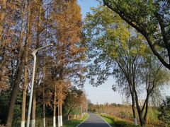 -昆山城市生态森林公园