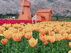 -苏州上方山国家森林公园