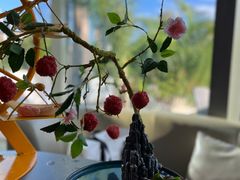 -故里和山·成都火锅(欢乐港湾店)