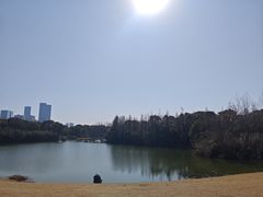 -艾溪湖湿地公园