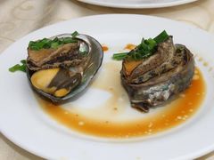 葱油鲍鱼-海岛渔村大酒店(云霄路店)