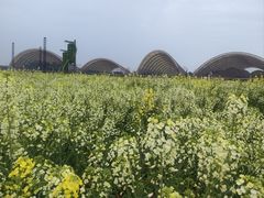 -中国天府农业博览园