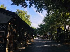 -运河游船(武林门码头)