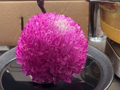 -大拙里·精致融合菜(沙湖桃源国际店)