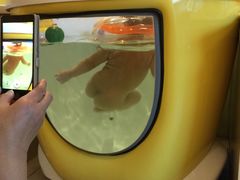 -乐悠游亲子游泳俱乐部