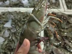-金巴兰鱼市场