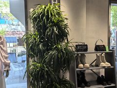 -白噪音White Noise·798概念店