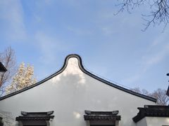 -上海醉白池公园