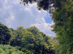 -广州市石门国家森林公园