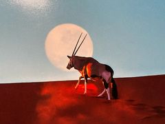 -罗红摄影艺术馆