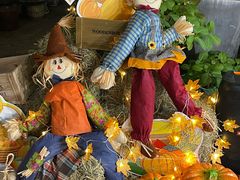 -神仙馆(衡山路店)