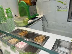 -Salud撒露欧洲冻酸奶(蓝色港湾店)