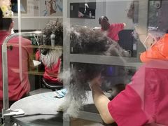 -宠物家(角门东店)