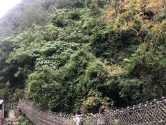 -太鲁阁公园