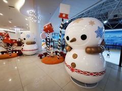 -世界之窗阿尔卑斯冰雪世界