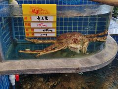 -骏莱海鲜鱼港(五角场店)