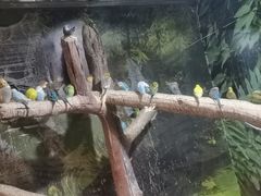 -苏州海洋馆