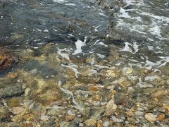 -西涌国际滨海旅游区