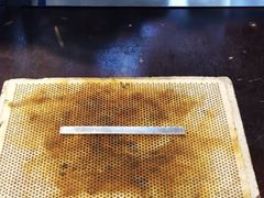 -十八字金·银饰·拼豆·开蚌DIY(魏公芳华里店)