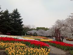-上海植物园-4号门售票处