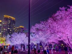 -西北湖绿化广场