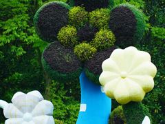 -上海共青森林公园