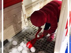 -Mr·Kuma酷么先生雪之乐园