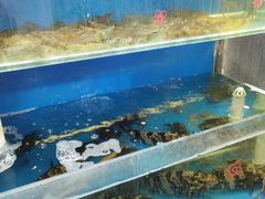 -廣味潮鲜·一品潮滋味(五道口店)