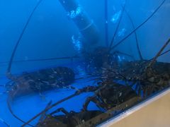 -质烤烤物·活烤海鲜(质烤总店)