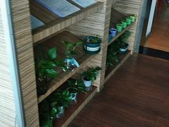 -一兆韦德(万源城店)