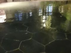 -大连金石滩绿发温泉假日酒店