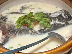 -全乐鱼馆·淳牌有机鱼直营店