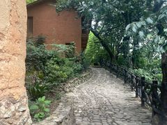 -杨家堂村