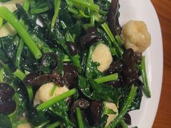 -東大方(湖州白鹭迎店)