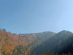 -兰山公园