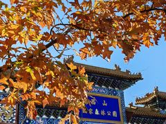 -北京西山国家森林公园