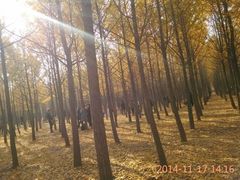 -汉景帝阳陵博物院