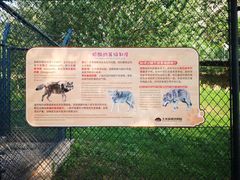 -大连森林动物园