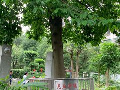 -广州神农草堂中医药博物馆