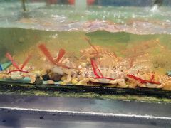 -龙泉海鲜酒楼(龙昆南路店)