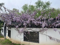 -采石矶景区