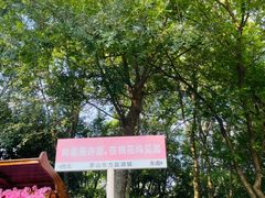 -茅山东方盐湖城景区