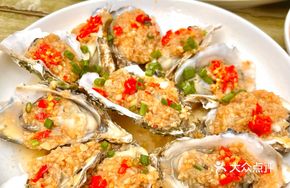 Bella Oyster