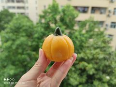 青团-5食堂