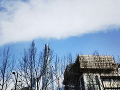 -BUS TOUR观光巴士