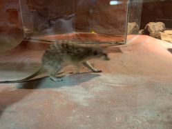 -酷嗒动物文化乐园(cutezoo西溪乐天城店)